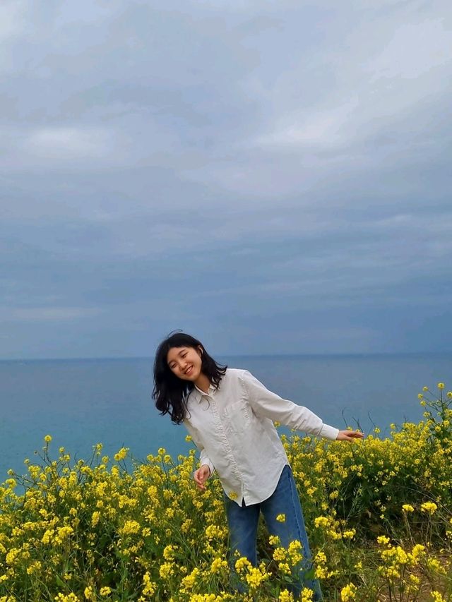 제주의 봄은 노란색💛