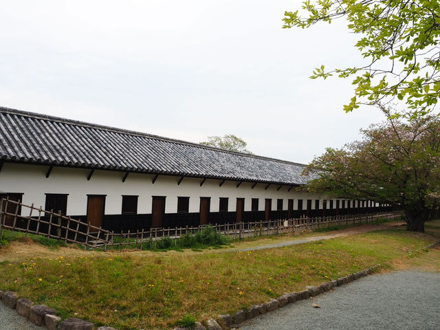 【福岡】歴史ロマン漂う福岡城跡を巡る 