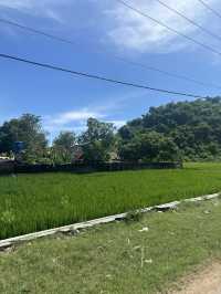 Discover Kuta Lombok on Two Wheels 🌿🏍️