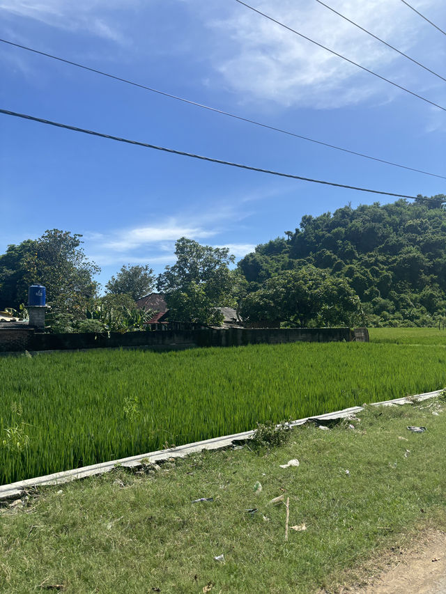 Discover Kuta Lombok on Two Wheels 🌿🏍️
