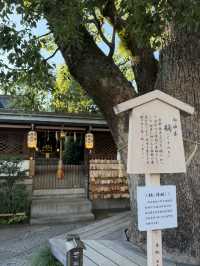 「晴明神社｜陰陽師・安倍晴明を祀る京都のパワースポット」