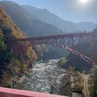 【富山県】黒部峡谷鉄道と〇〇〇ケーキ🙊