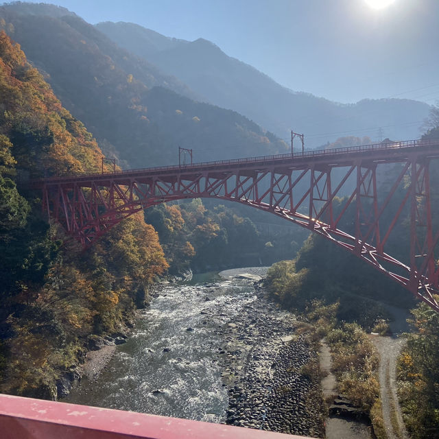 【富山県】黒部峡谷鉄道と〇〇〇ケーキ🙊