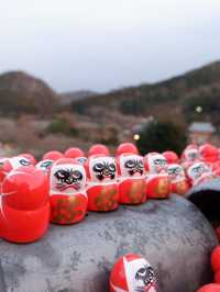 วัดที่มีแต่ดารุมะ(Katsuoji Temple)
