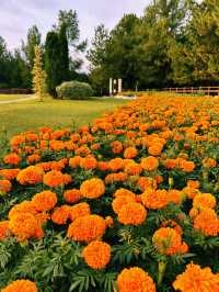 A Stroll Through Putrajaya’s English Garden