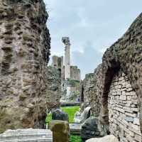 Palatine Hill: Where Rome Was Born 🇮🇹
