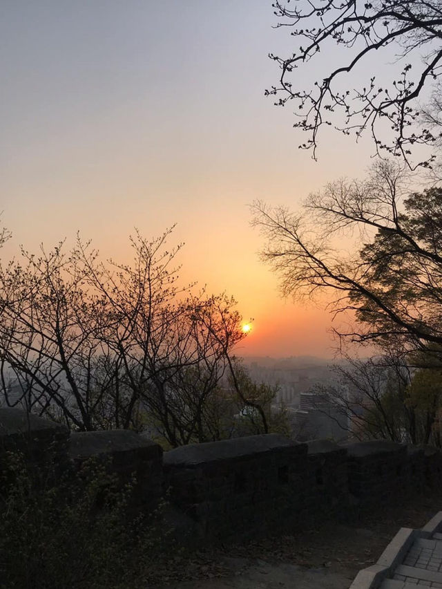 Sunset 🌅 and romantic cherry blossom view from Namsan Tower🗼