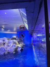 Picture perfect spots in Underwater World Langkawi