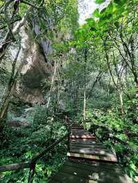 “Deer Cave: Spring Adventure Wonder”
