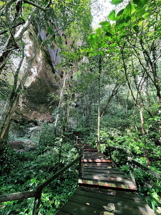 “Deer Cave: Spring Adventure Wonder”