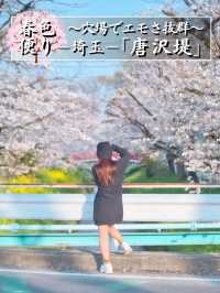 【埼玉】行かなきゃ損‼️駅近&穴場でエモさ溢れる桜撮影🌸📸※周辺観光情報付き