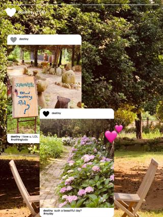 Finding Peace: A Serene Escape in the Juniper Woods