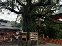 靈性之旅的神聖殿堂 終於嚟到朝聖