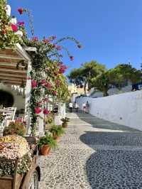 Spring in Pyrgos, Santorini🌸