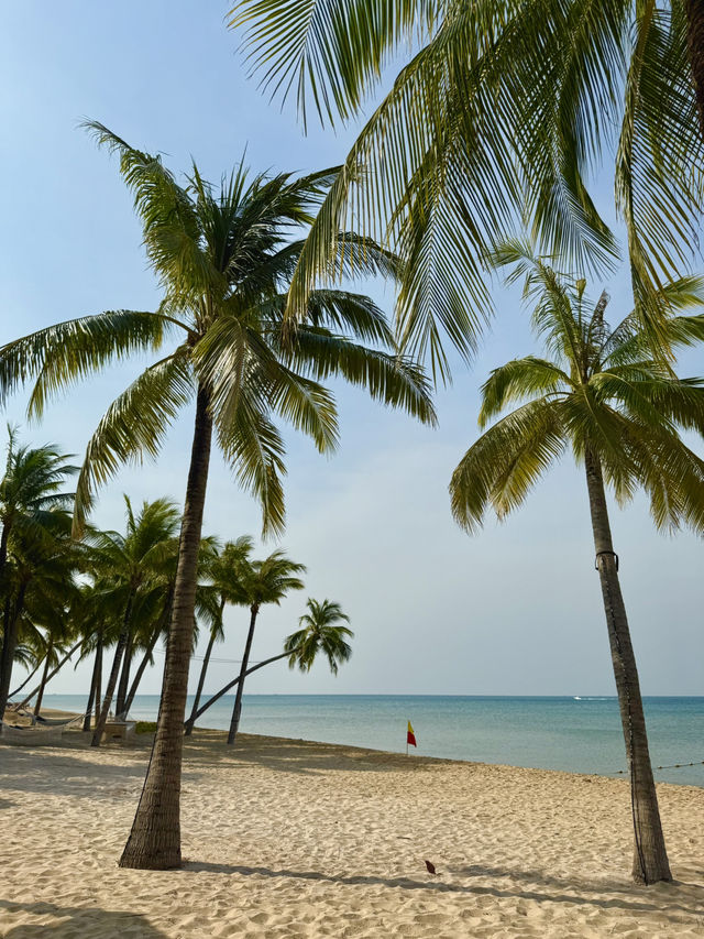 Spring Trip to Phu Quoc: Strolling Along the Coast