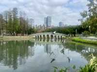 深圳清新自然美地✨四海公園 🌸🌿