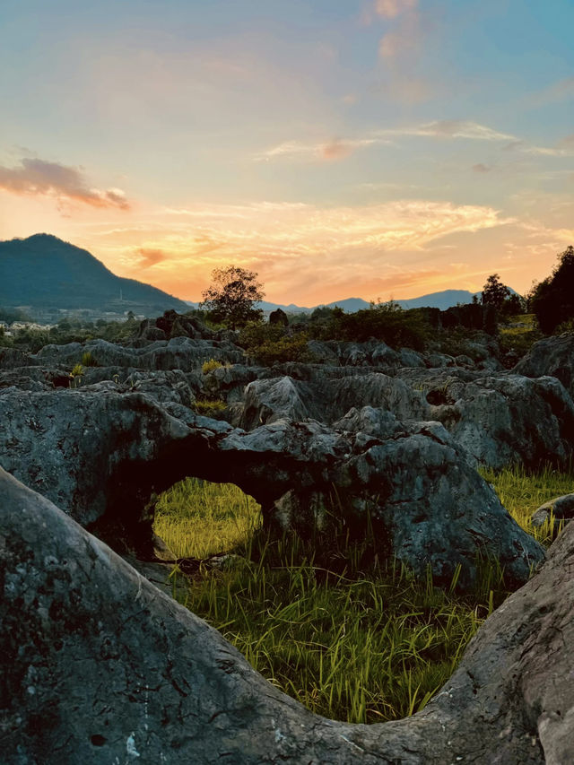 A Surreal Escape: Xingwen Stone Forest – Chengdu’s Hidden “Alien Planet” 🌌🏜️