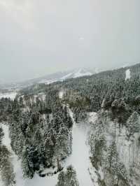 ［度密月之選❤️] 性價比100分嘅北海道星野度假村
