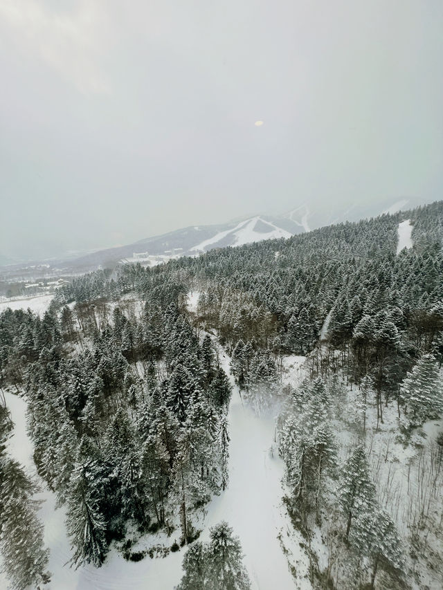 ［度密月之選❤️] 性價比100分嘅北海道星野度假村