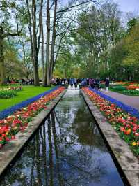 Keukenhof Gardens, literally a paradise for anthophiles & photography buffs! 