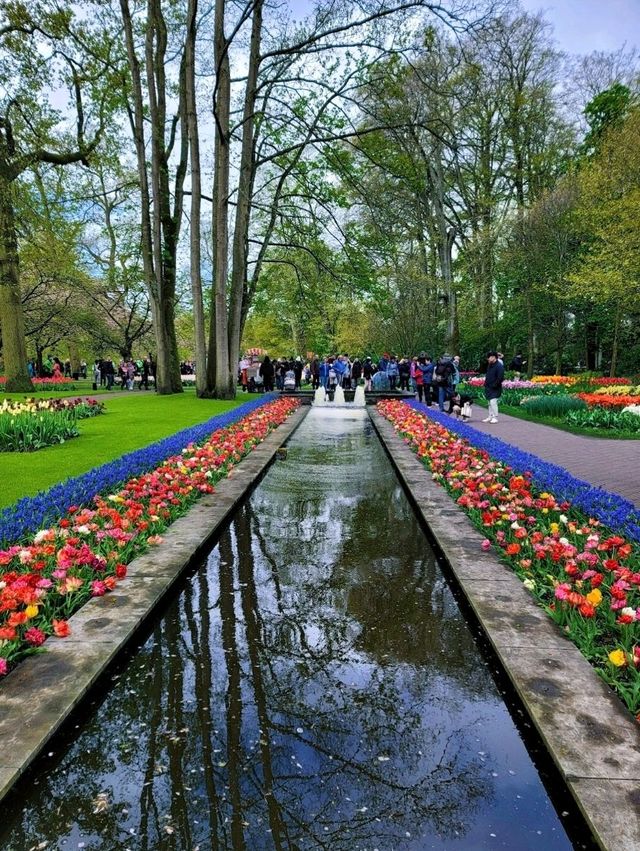 Keukenhof Gardens, literally a paradise for anthophiles & photography buffs! 