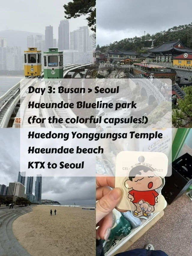 🇰🇷 SEOUL & BUSAN‼️7D6N chill itinerary 🍃