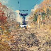 紅的黃的綠的/滿山滿谷的楓葉/期限限定/雫石紅葉季 