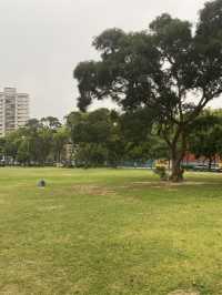 林口 社區公園 ❇️ 城市綠地 孩童玩樂之處