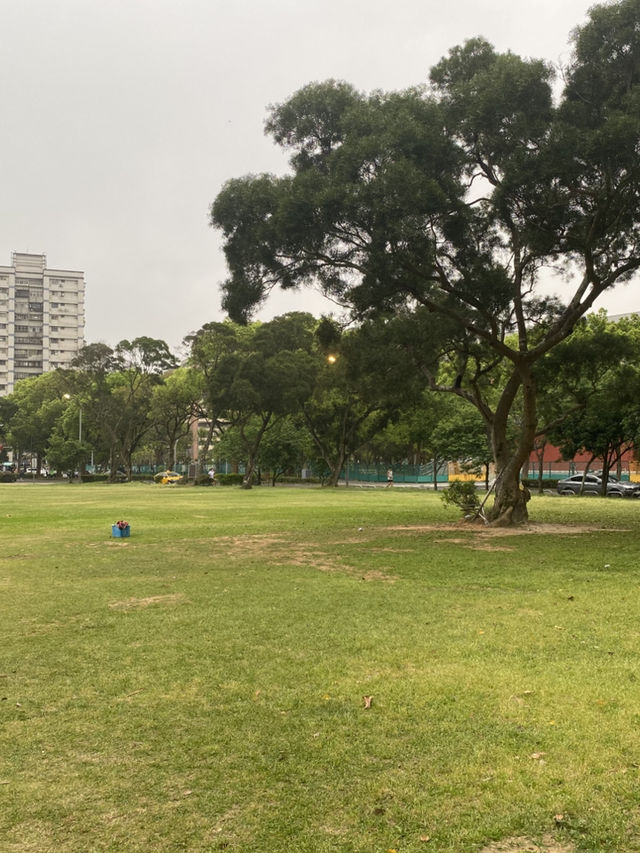 林口 社區公園 ❇️ 城市綠地 孩童玩樂之處
