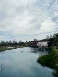 หอมดินกลิ่นจันทร์