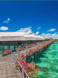 マレーシア旅行の余韻がすごすぎる！🇲🇾