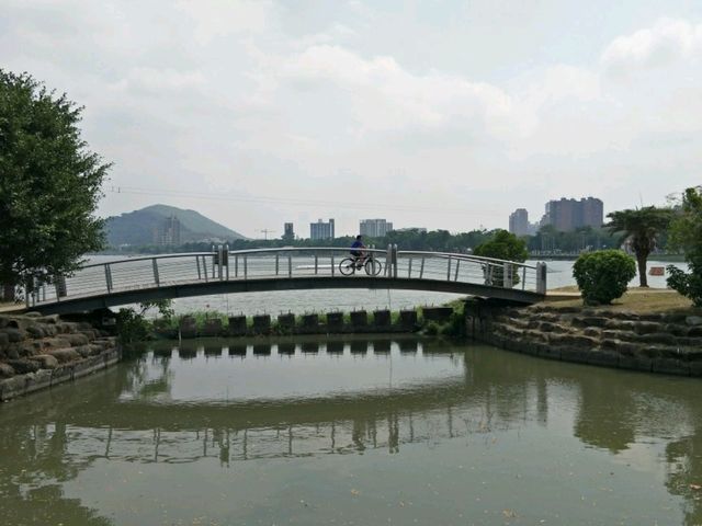 #蓮池潭風景區-高雄左營