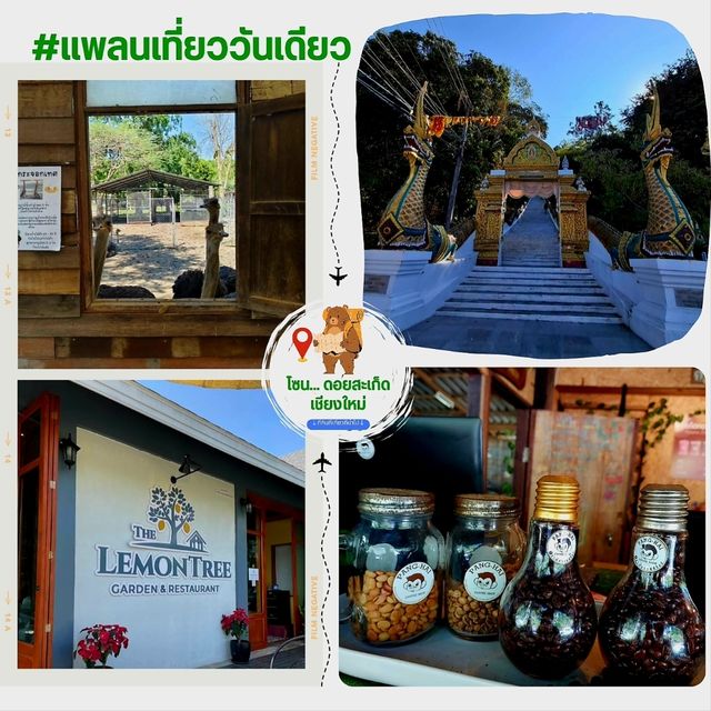 วันเดียว ทำบุญ กิน เที่ยว โซนดอยสะเก็ด - เชียงใหม่