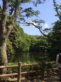 【鎌倉アルプス:北鎌倉・山之内・今泉の秘境から二階堂まで。散在ヶ池公園・陰陽滝・天園ハイキングコース 】