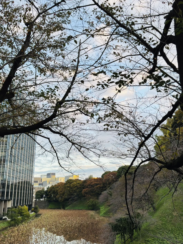 東京｜一日遊｜北之丸公園及周邊景點