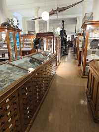Sedgwick Museum of Earth Sciences