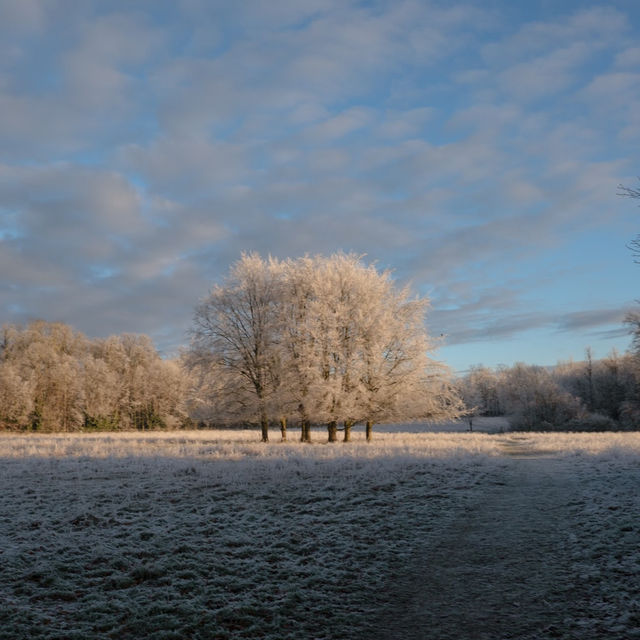 Wandlebury Country Park