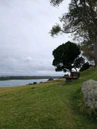 Mt.maunganui