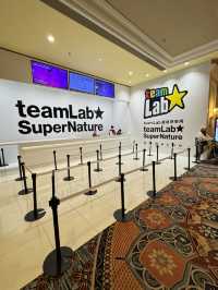 光影實驗室Team Lab: 治癒人心的希望星光
