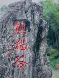 Chengdu Panda Valley: A Close-Up Encounter with Nature’s Cutest Treasure