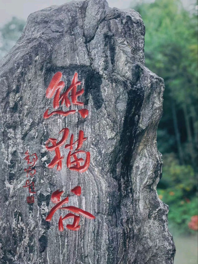 Chengdu Panda Valley: A Close-Up Encounter with Nature’s Cutest Treasure