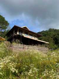Mori Natural Farm ฟาร์มไตล์ญี่ปุ่น น่ารักมากกกก