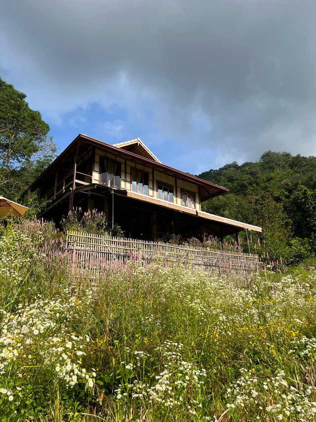 Mori Natural Farm ฟาร์มไตล์ญี่ปุ่น น่ารักมากกกก