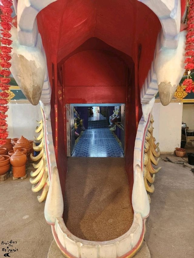 หนึ่งเดียวในไทย🚗 ขับรถลอดท้องช้าง🐘