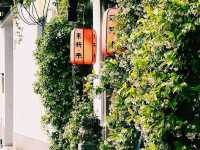 🇨🇳水の都でゆったりボートクルーズ🚣‍♀️🏘️