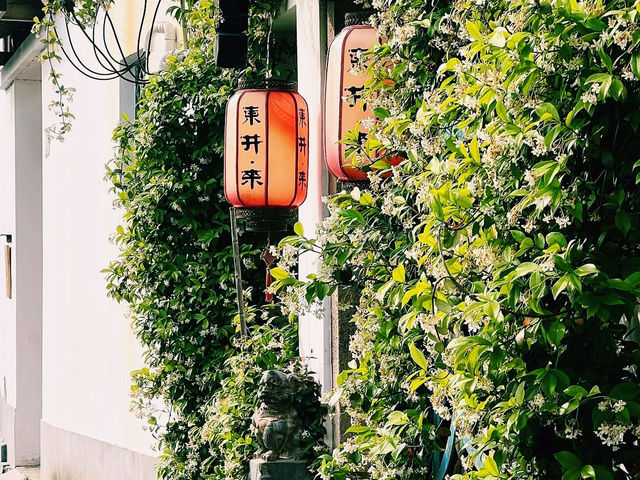 🇨🇳水の都でゆったりボートクルーズ🚣‍♀️🏘️