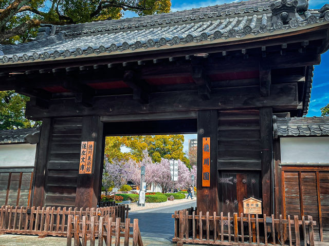 【名古屋】徳川園で歴史と桜の共演を堪能🌸✨