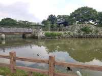 [🇯🇵姫路] 白鷺城とも称される美しい姫路城を訪ねて