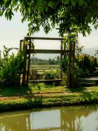 🌿ที่พักบรรยากาศทุ่งนาใน อ.สันทราย จ.เชียงใหม่ 
