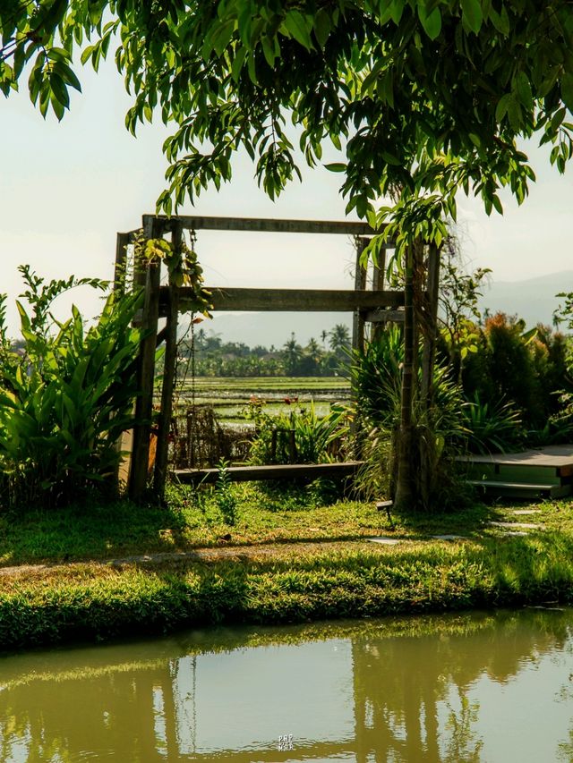 🌿ที่พักบรรยากาศทุ่งนาใน อ.สันทราย จ.เชียงใหม่ 